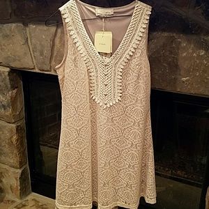 NWT a'reve Beige Dress  Size M